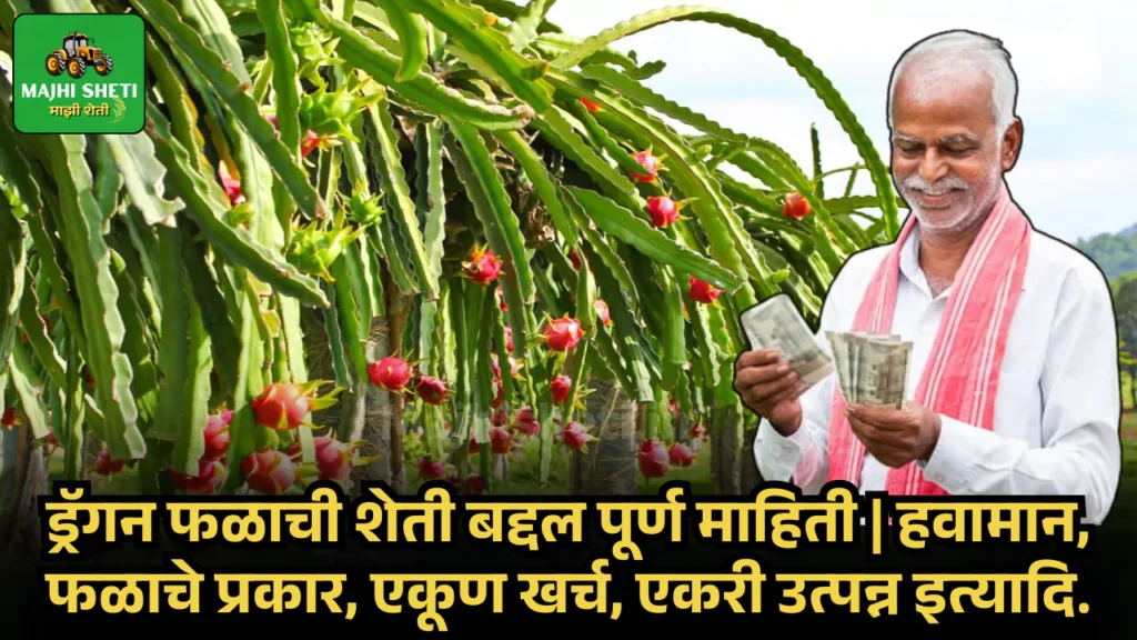 Dragon Fruit Farming Information in Marathi