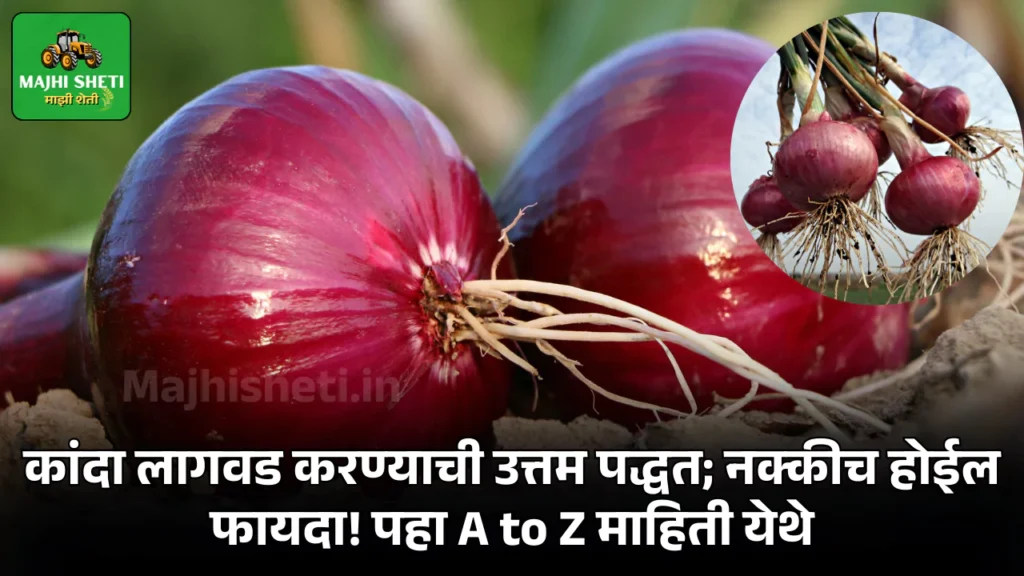 Kanda Lagwad Mahiti in Marathi