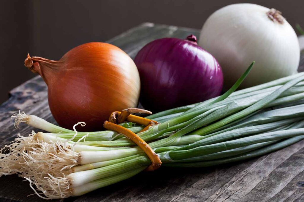 Onion Varieties