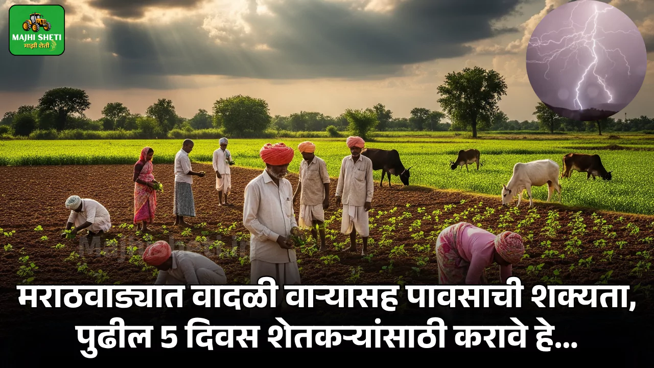 Marathwada Weather Update