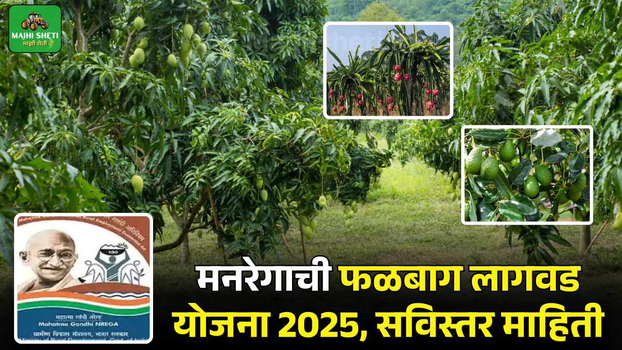 Mahatma Gandhi Rashtriya Gramin Rojgar Hami Yojana