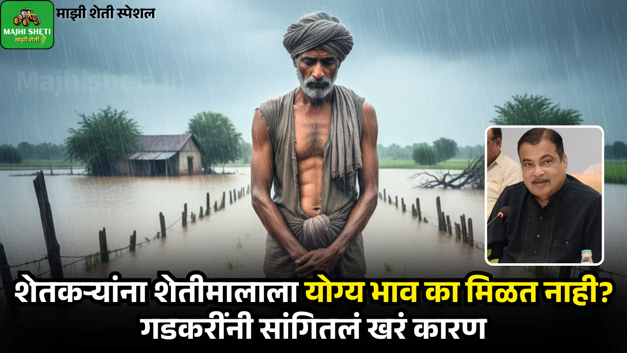 Agro News Today Marathi