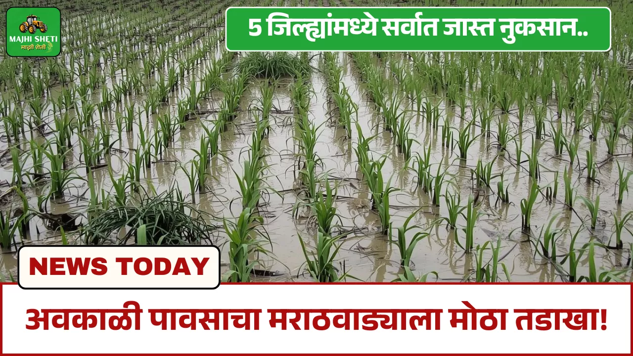 Marathwada Weather Update Today