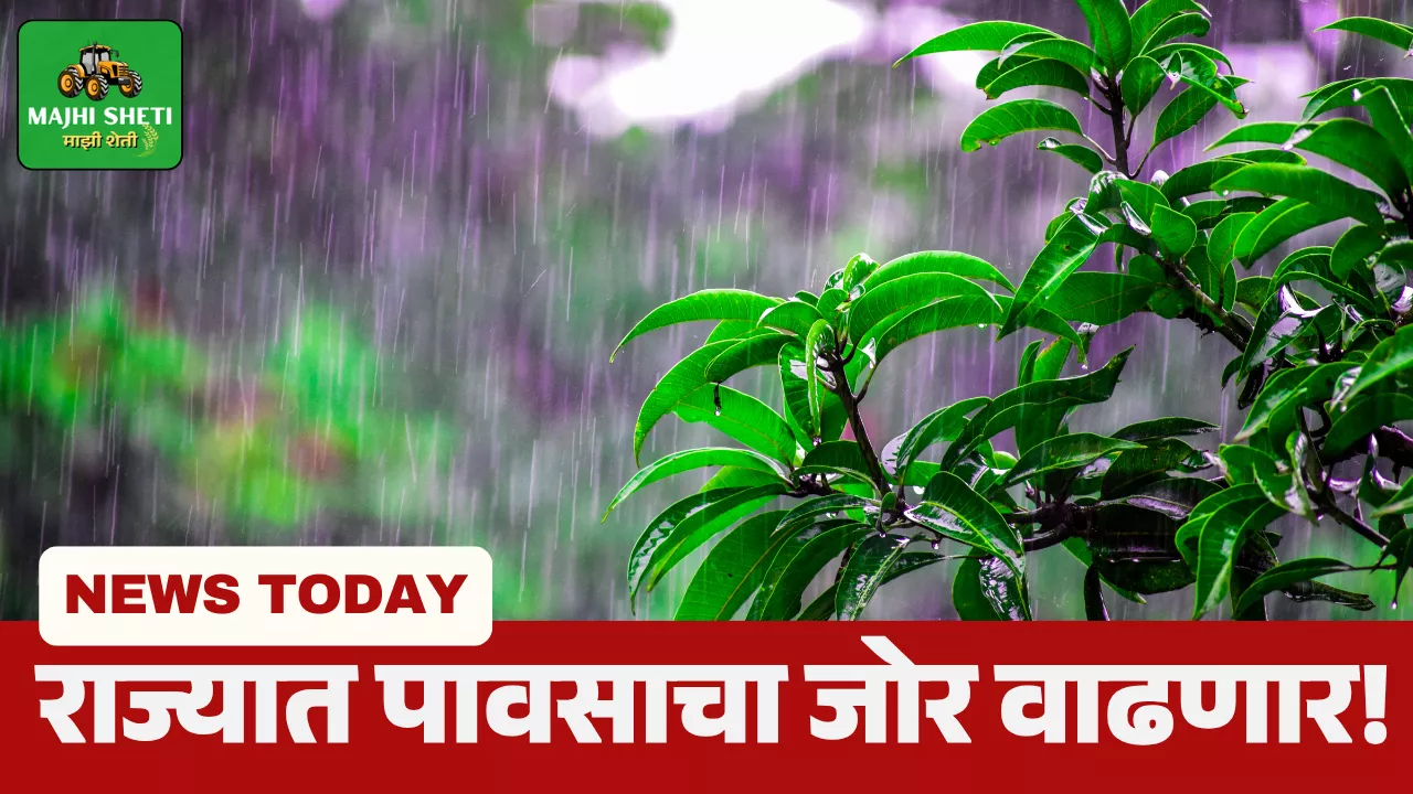 Rain Update Maharashtra
