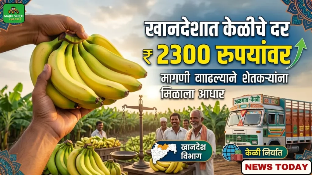 Keli Bhav Khandesh Today