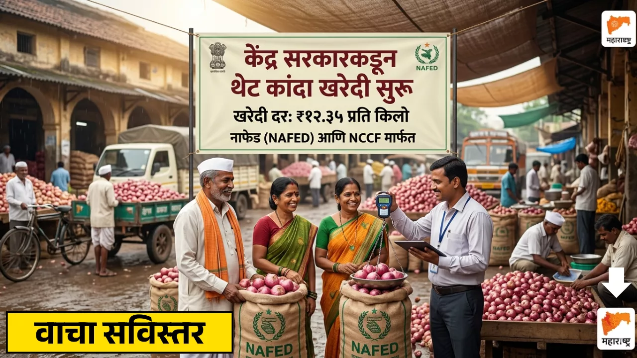 Onion Procurement